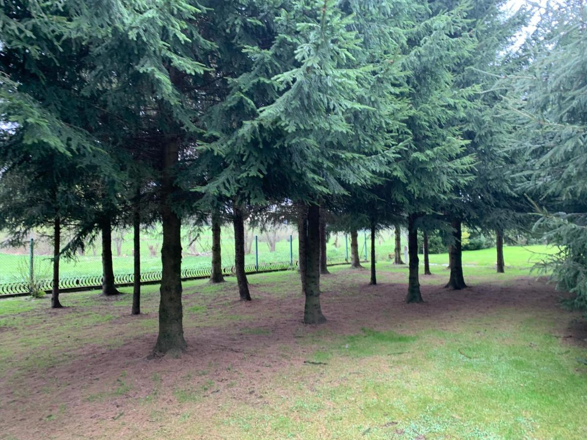 Domki Nad Stawem Uherce Uherce Mineralne Exterior foto